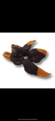 Kaki fruit gedroogd met pure chocolade (250gr)